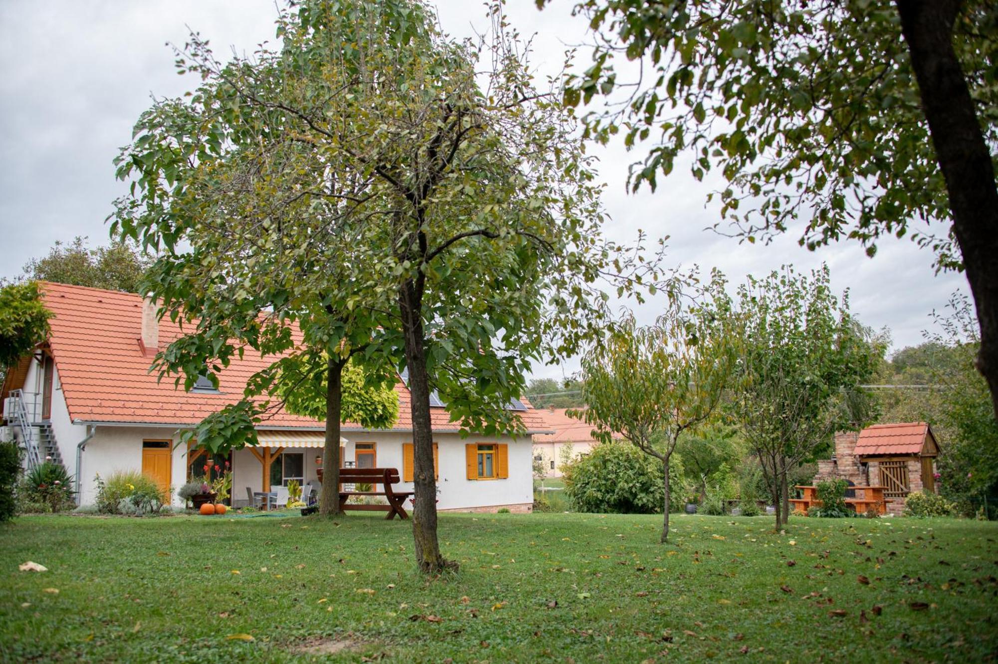 Zengővárkony Rozmaring Vendeghaz酒店 外观 照片